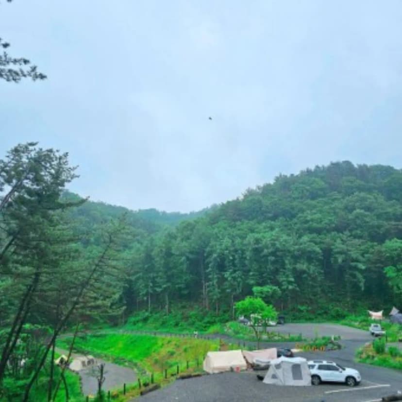 더 빌리지 사진 9