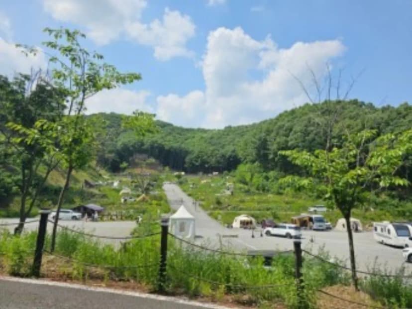 더 빌리지 사진 19