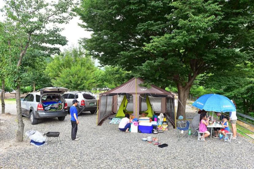 덕유캠프농장 사진 3
