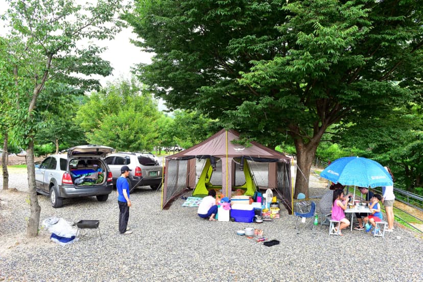 덕유캠프농장 사진 5