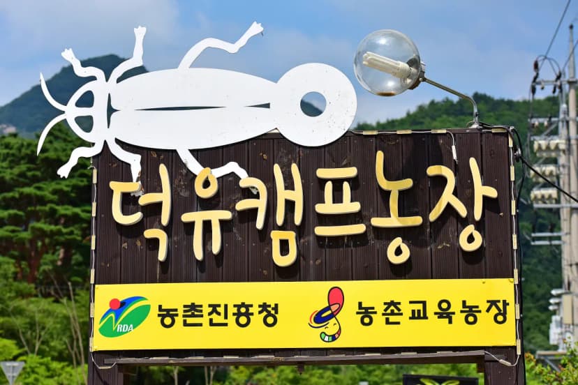 덕유캠프농장 사진 6