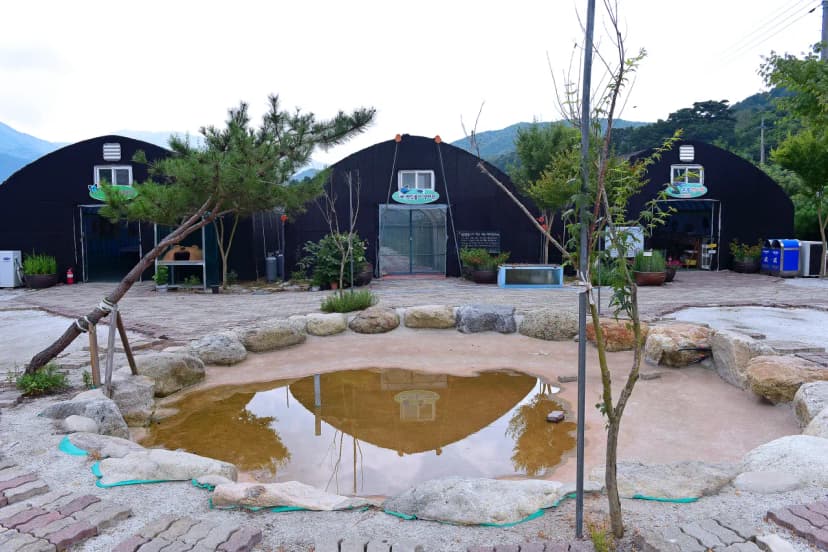 덕유캠프농장 사진 9