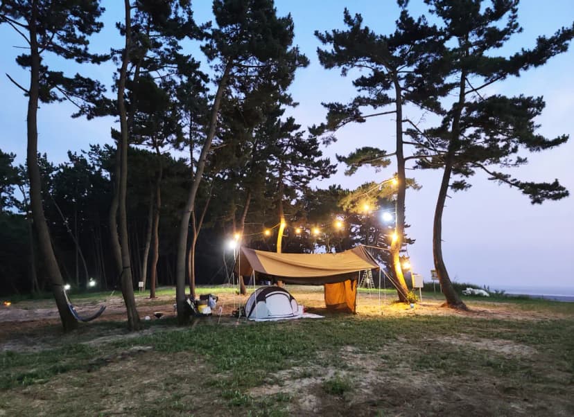 태안노을숲캠핑장 사진 14