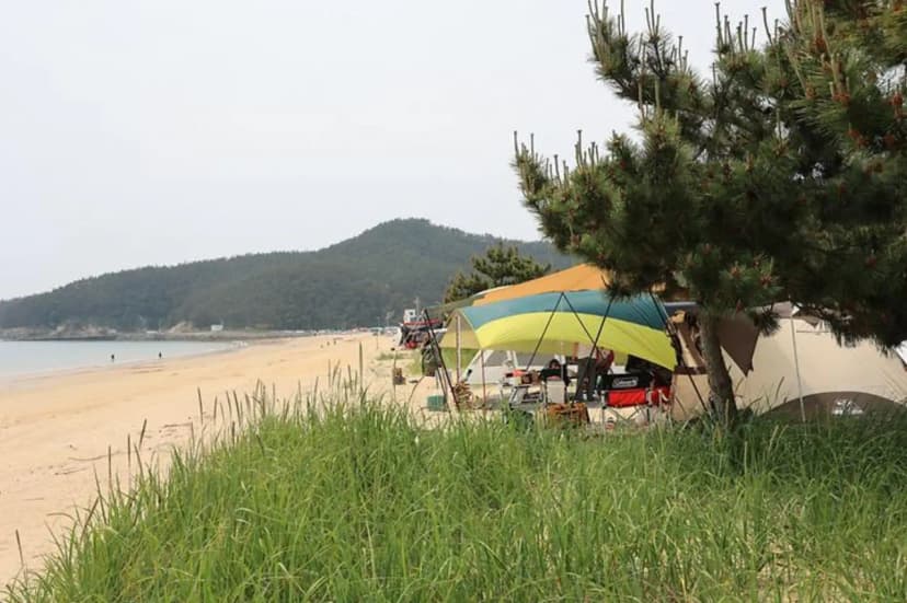 해씨유 사진 2