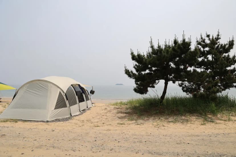 해씨유 사진 5