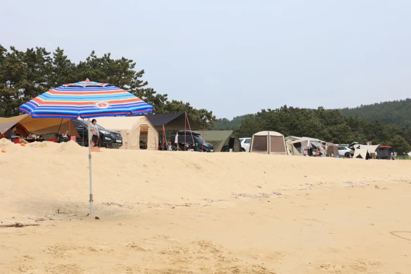 해씨유 사진 11