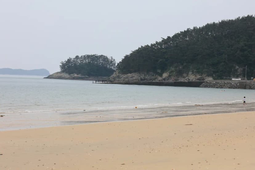 해씨유 사진 12