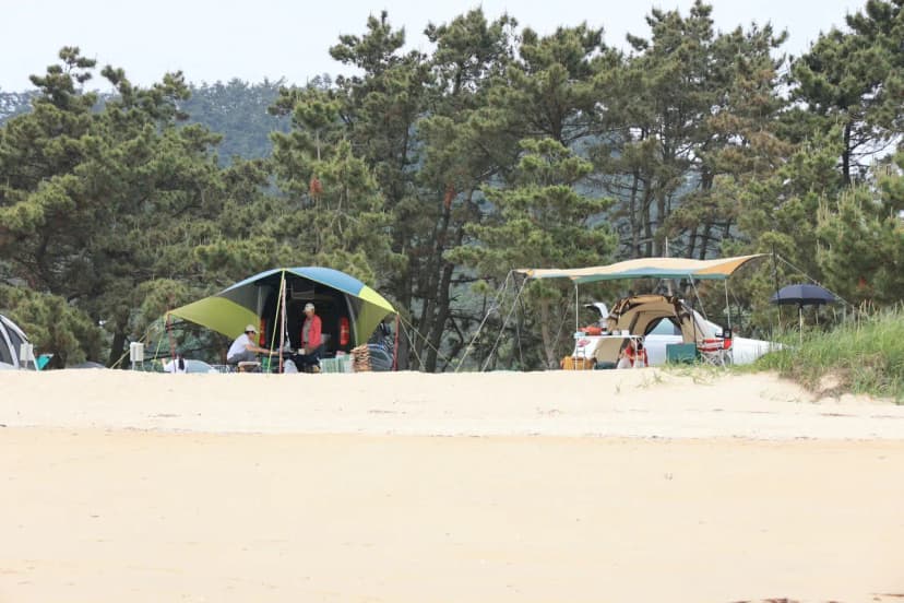 해씨유 사진 16