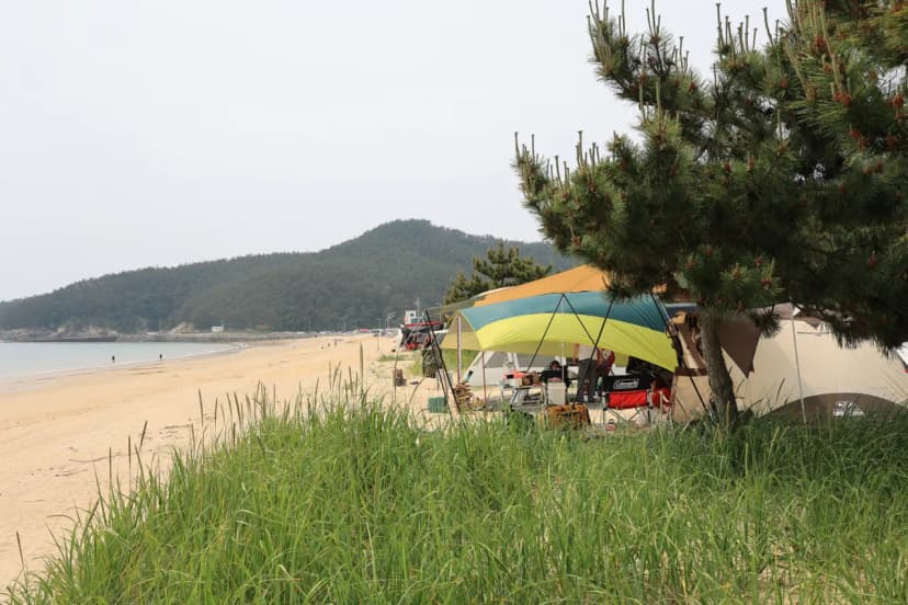 해씨유 사진 17