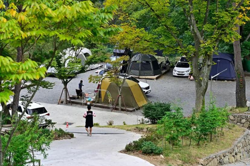 평암189캠핑장 사진 3