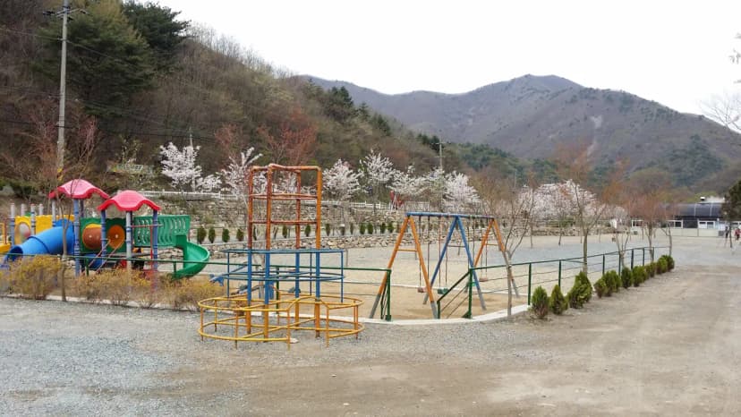 에코밸리 캠프 사진 5