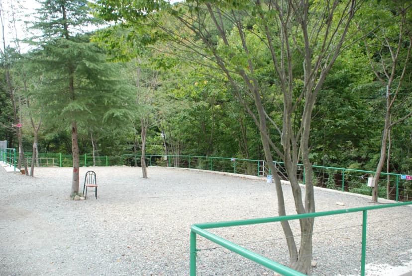에코밸리 캠프 사진 6