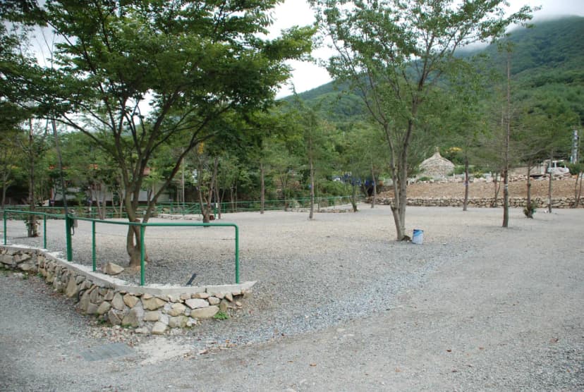 에코밸리 캠프 사진 13