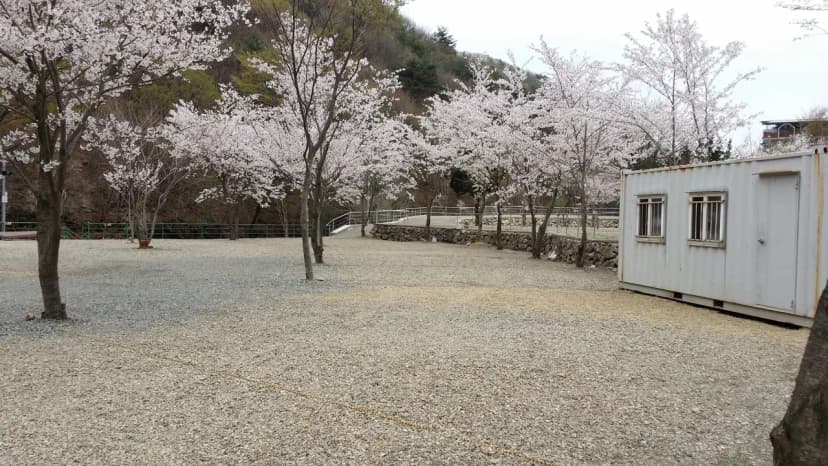 에코밸리 캠프 사진 16
