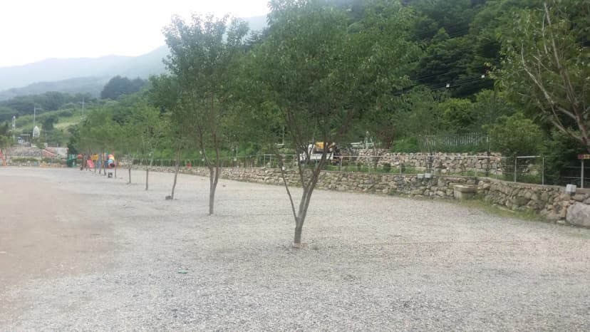 에코밸리 캠프 사진 17