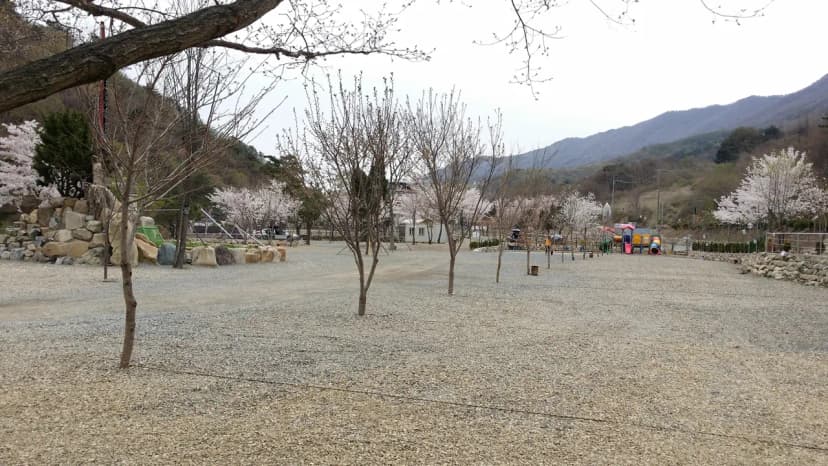 에코밸리 캠프 사진 21
