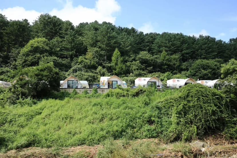 가평 네잎클로버 카라반 글램핑 사진 11