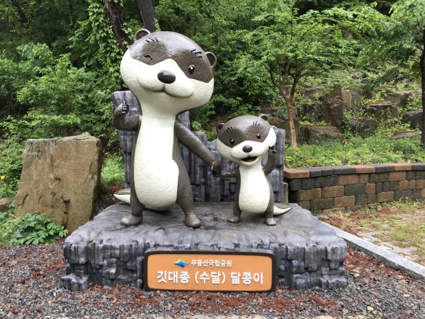 도원야영장 사진 6