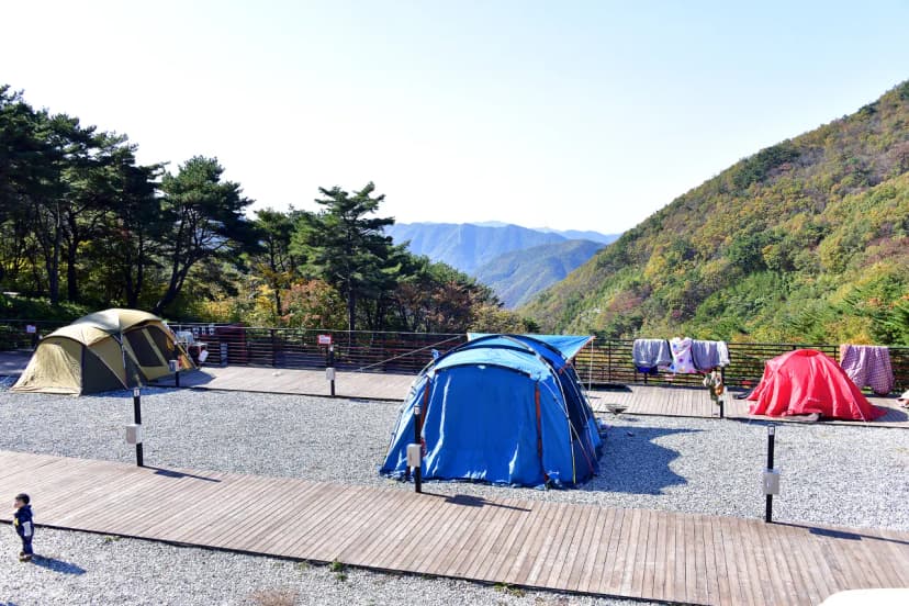 도래재별빛마을캠핑장 사진 13