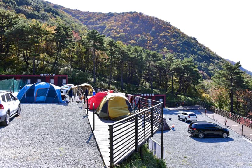도래재별빛마을캠핑장 사진 17