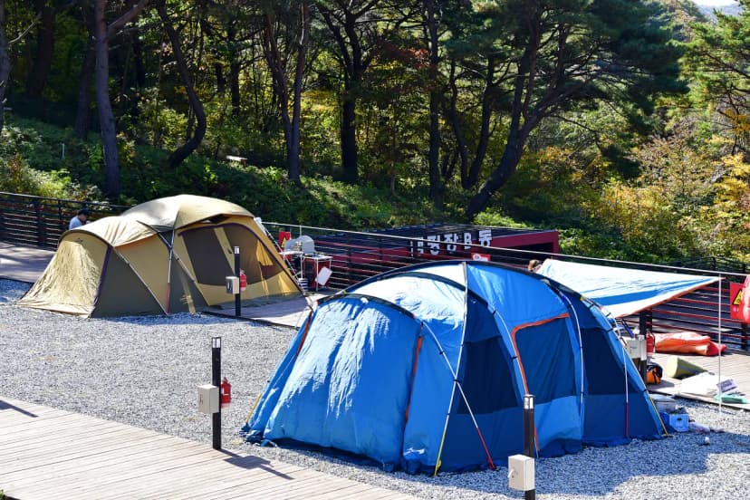 도래재별빛마을캠핑장 사진 18