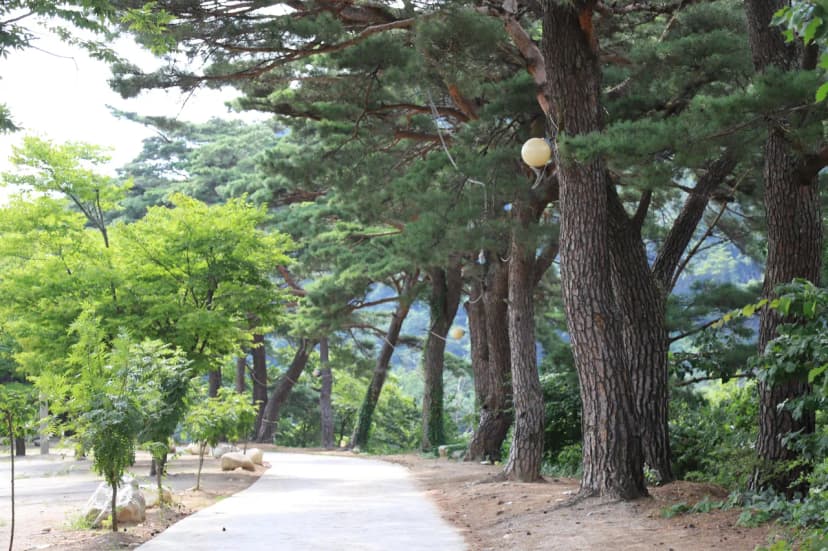 돌배야영장(제1야영장) 사진 3