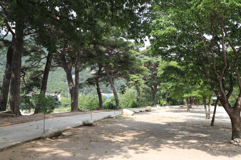 돌배야영장(제1야영장) 사진 4