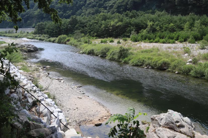 돌배야영장(제1야영장) 사진 5