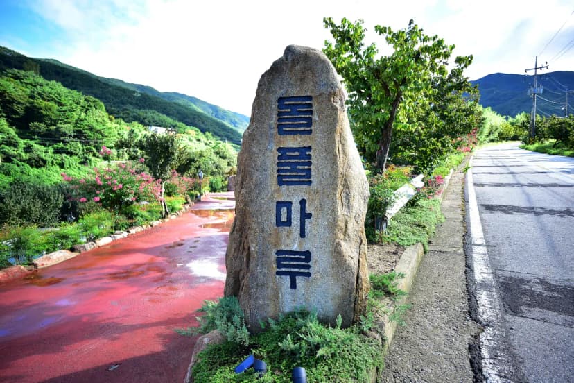 돌풀마루 사진 10