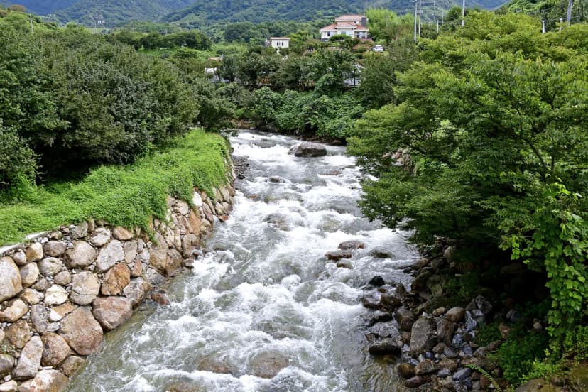 돌풀마루 사진 12