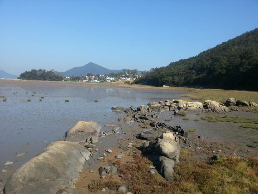 동검도노을캠핑장 사진 17