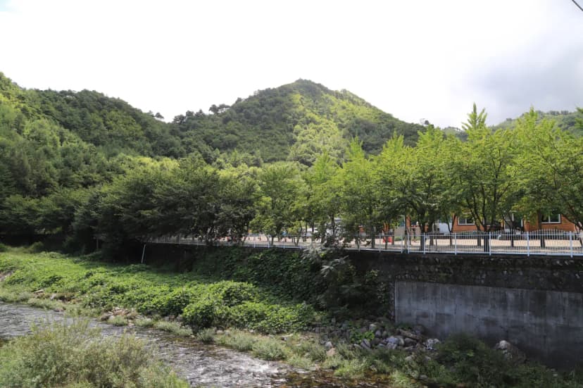 동막골캠핑장 사진 3