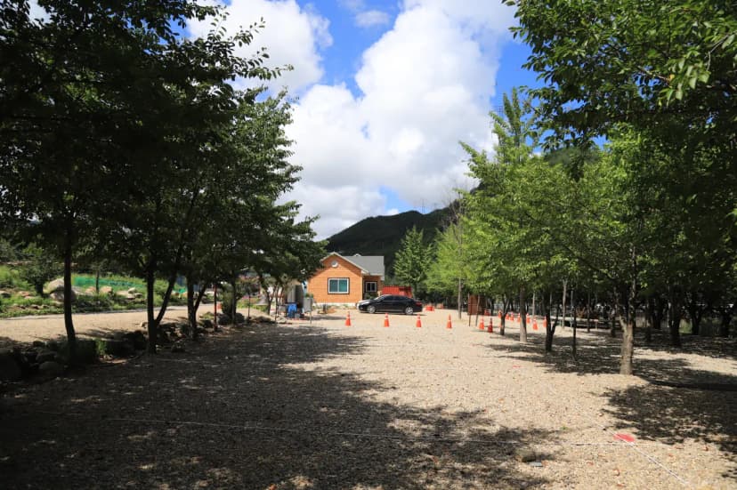 동막골캠핑장 사진 5