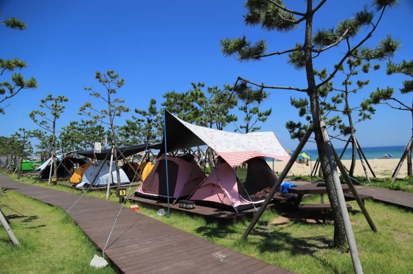 동산포 캠핑장 사진 5