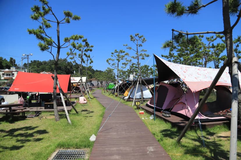 동산포 캠핑장 사진 6