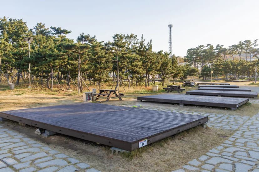 망상오토캠핑리조트 사진 20
