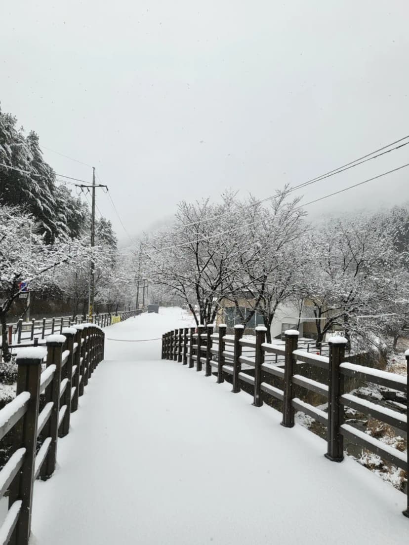 가족쉼터 사진 3
