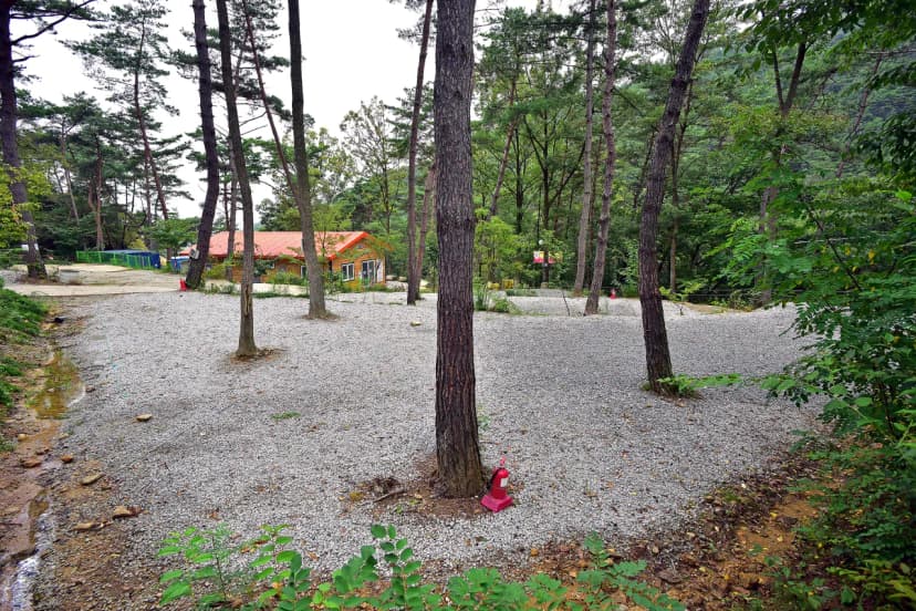 아리솔캠핑장 사진 3