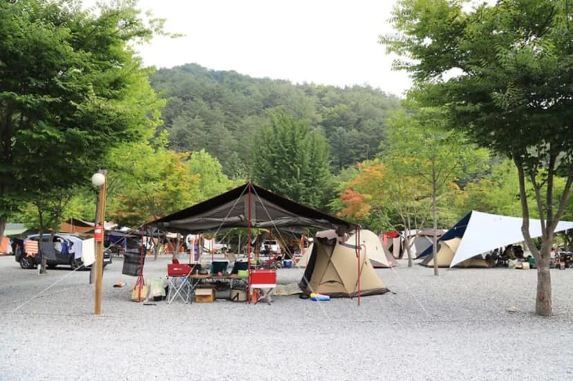 두산분교 캠핑장 사진 2