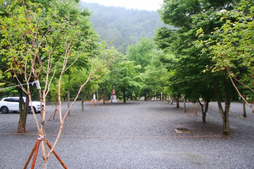 두산분교 캠핑장 사진 16