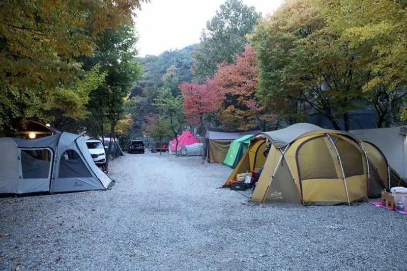 북한산 둥글이네 캠핑