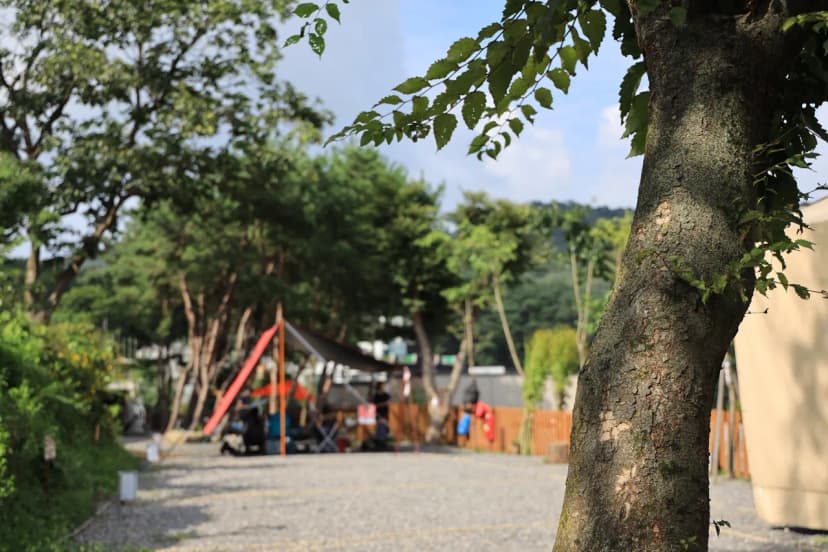 청계산 골든밸리 가족캠핑장 사진 18