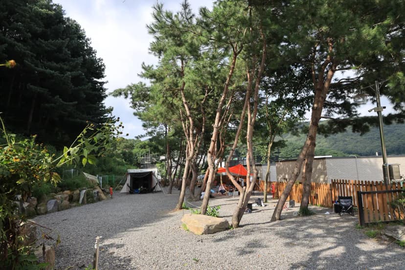 청계산 골든밸리 가족캠핑장 사진 20