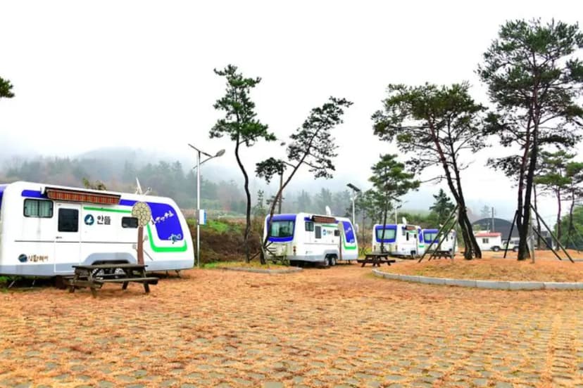 장선해변 캠핑장