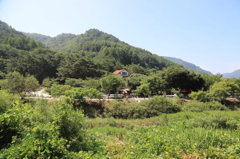 뜨란솔 캠핑장 사진 3