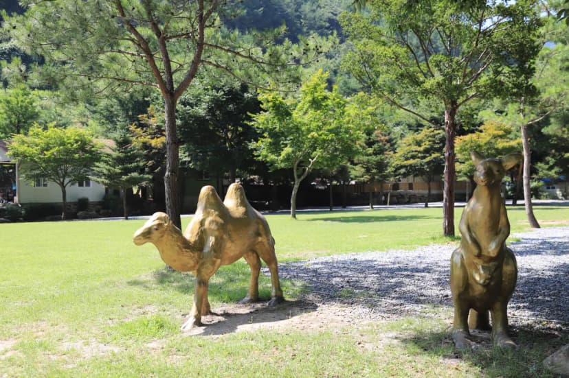 뜨란솔 캠핑장 사진 5