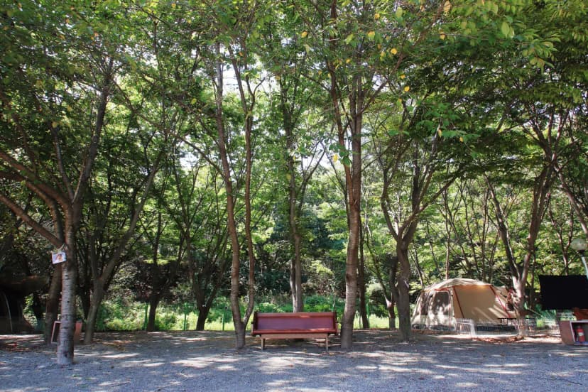 라포레캠핑장 사진 19
