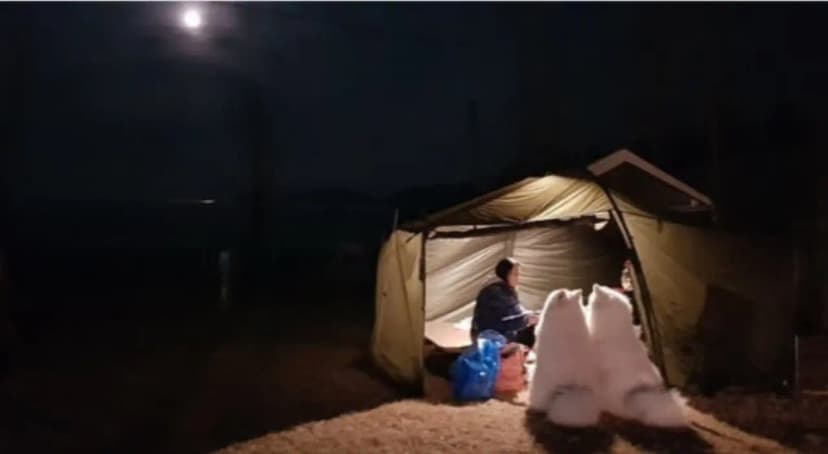 반려견호텔 랩도그빌 사진 8