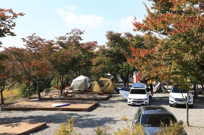 로하스캠핑 사진 3