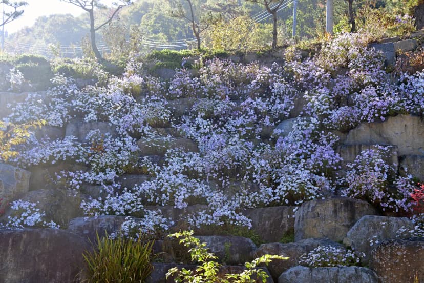 정읍로하스캠핑장 사진 14